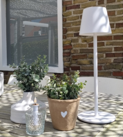 Terracotta pot