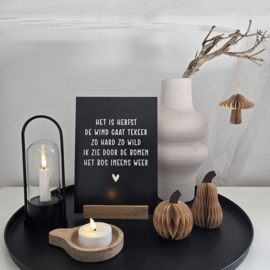 Honeycomb pompoen set = de laatste