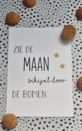 Zie de maan schijnt door de bomen