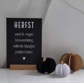DIY pompoen set