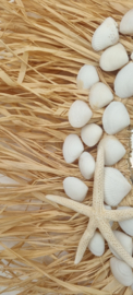 DIY raffiaspiegel