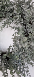 Eucalyptus krans geslaagd DE LAATSTE