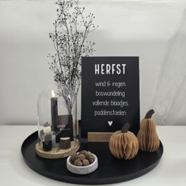 Honeycomb pompoen set = de laatste