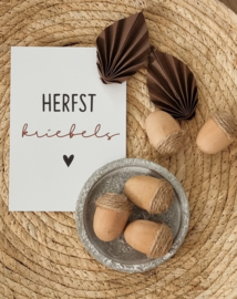 DIY herfst eikels