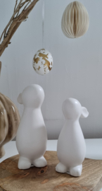 Haasjes (wit & zwart)