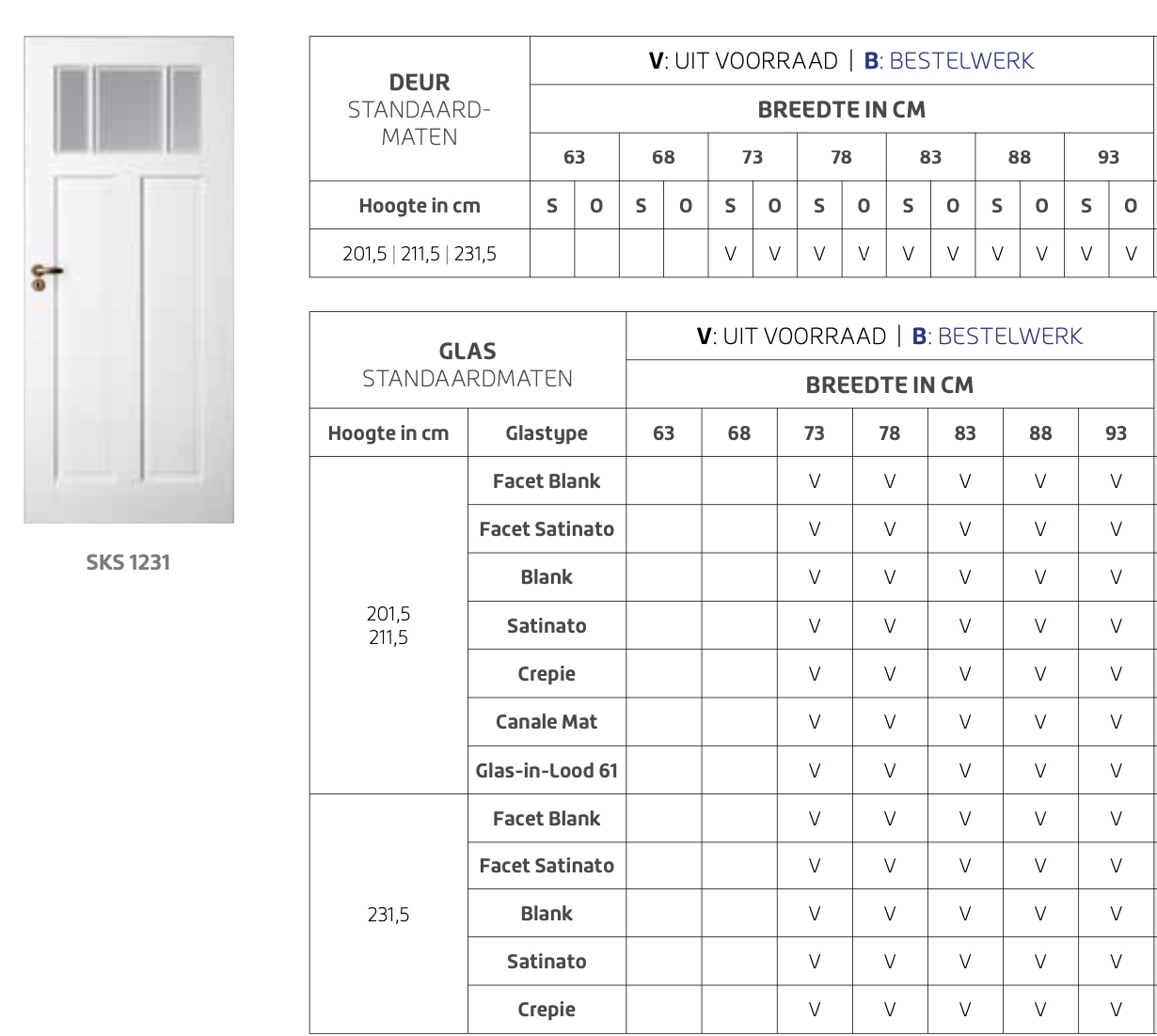 Skantrae Accent SKS 1231 Facet blank glas
