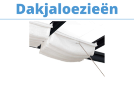 Dakjaloezieën