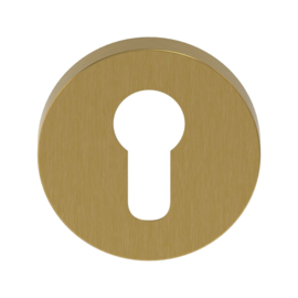 CanDo Cilinderrozet Sphere Regular Deurbeslag | Goud