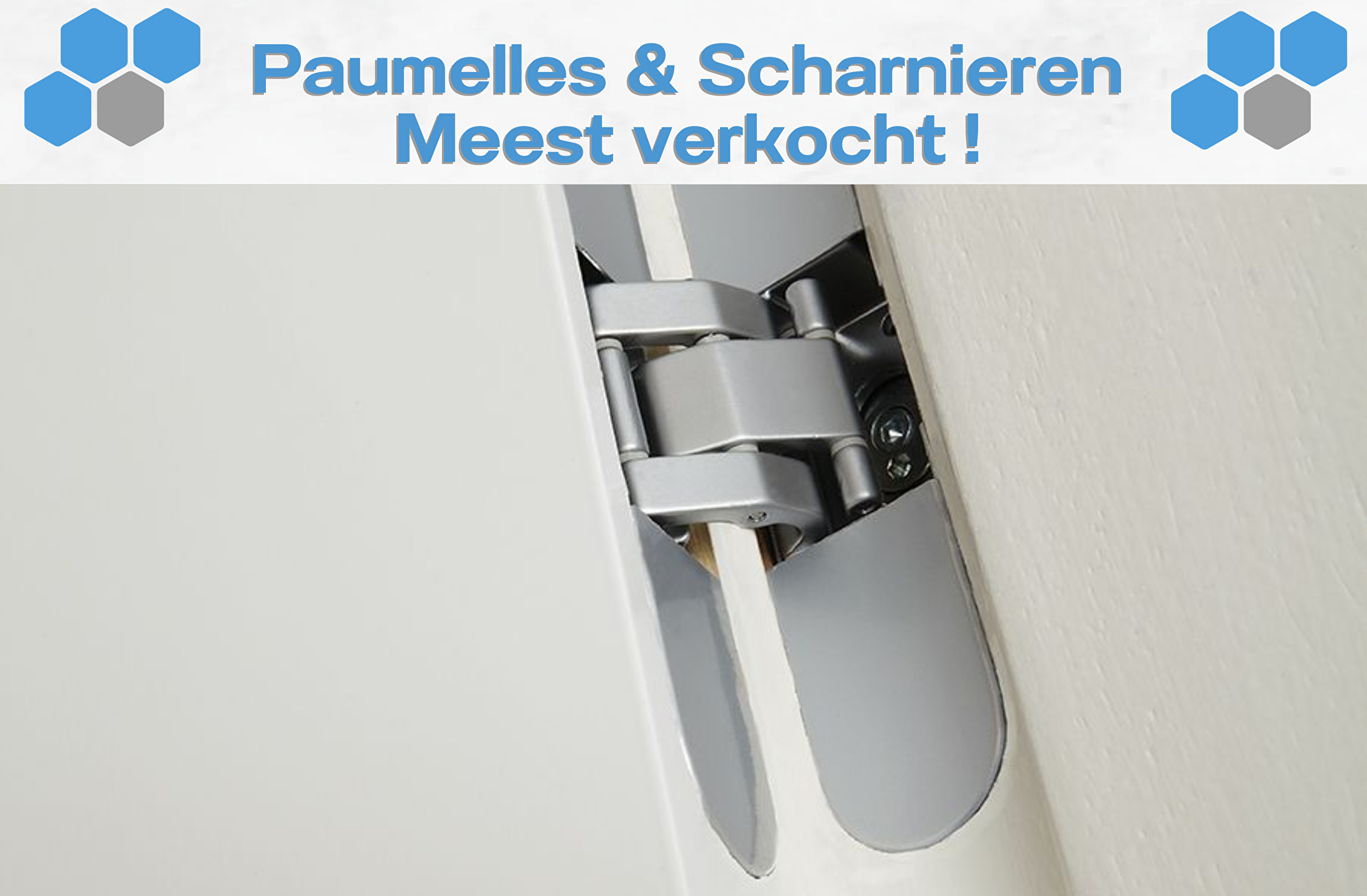 Paumelles & Scharnieren