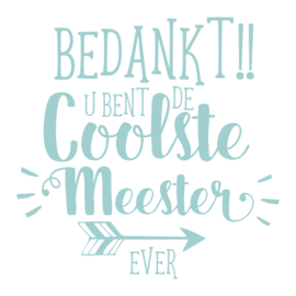 Label vinylsticker 'Bedankt u bent de coolste meester ever!'