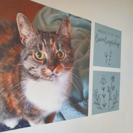 Vierkant 'Eigen Foto'