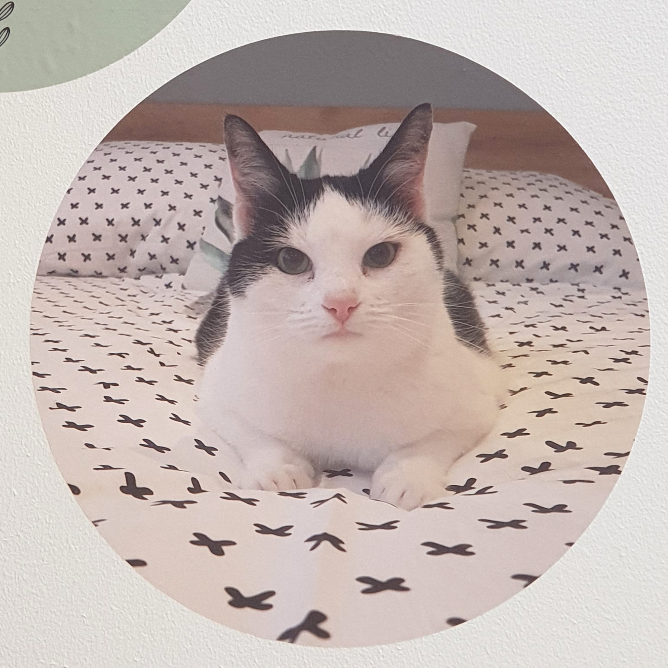 Cirkel 'Eigen Foto'