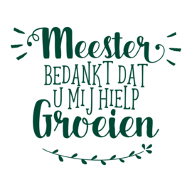 Label vinylsticker 'Meester bedankt dat u mij hielp groeien'