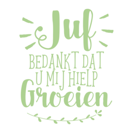 Label vinylsticker 'Juf bedankt dat u mij hielp groeien'