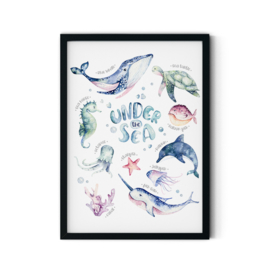 Poster 'Onderwaterdieren'