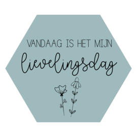 Zeshoek 'Vandaag is het mijn lievelingsdag'