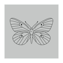 Vierkant 'Vlinder'