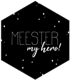 Etiket Meester my hero - zeshoek