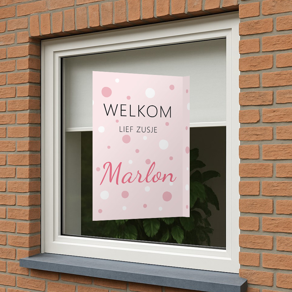 Geboortebord Roze Muisjes