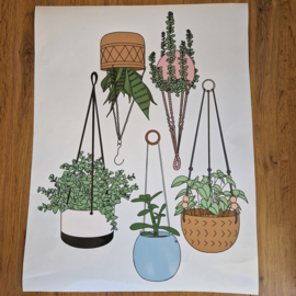 Raamsticker 'Hangplanten', set van 2 stuks HERBRUIKBAAR