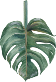 Miho Leaf  Tropic