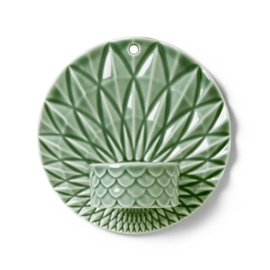 Dottir Pipanella wall light green