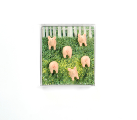 Trendform Piggy magnets