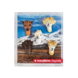 Trendform Alpaca magnets 