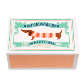 Rex London mini sausage dog in a box