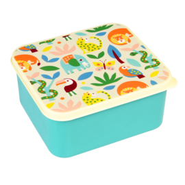 Rex London lunchbox Wild Wonders