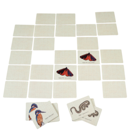 Rex London Nature trail memory game