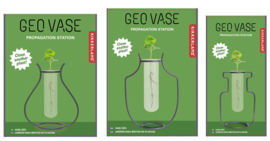 Kikkerland Geo vase propagation