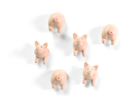 Trendform Piggy magnets