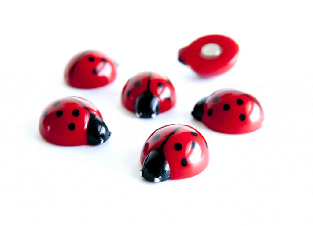 Trendform Ladybug magneten