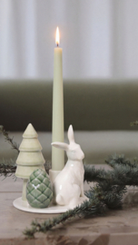 Dottir Winter stories Qurious Hare