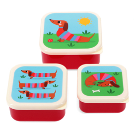 Rex London snack boxes - Sausage dog (3)