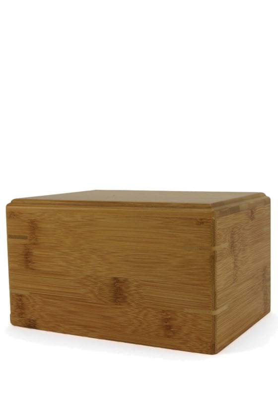 Bamboo Box