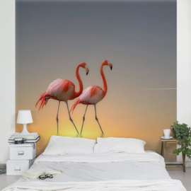 Behang Flamingo Love (vanaf)