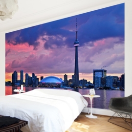 Vlies Fotobehang; Fascinating Toronto (vanaf)