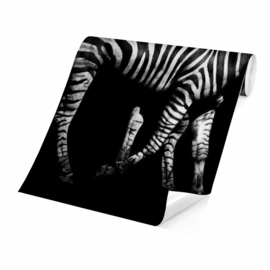 Behang Zebra in the Dark (vanaf)