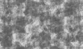 Concrete Ciré Behang 330716, zwart met zilver