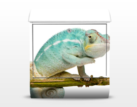 Brievenbus Blauwe Kameleon