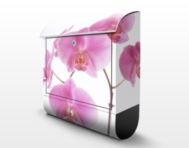 Design Brievenbus Mellow Orchids