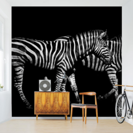 Behang Zebra in the Dark (vanaf)