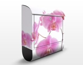 Design Brievenbus Mellow Orchids