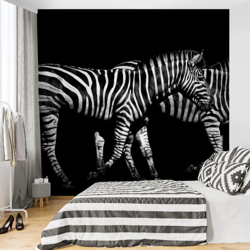 Behang Zebra in the Dark (vanaf)