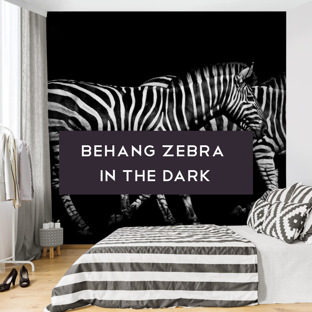 Behang zebra in the dark link in bio Instagram