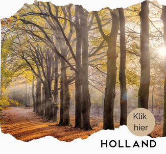 Behang met foto's van Holland