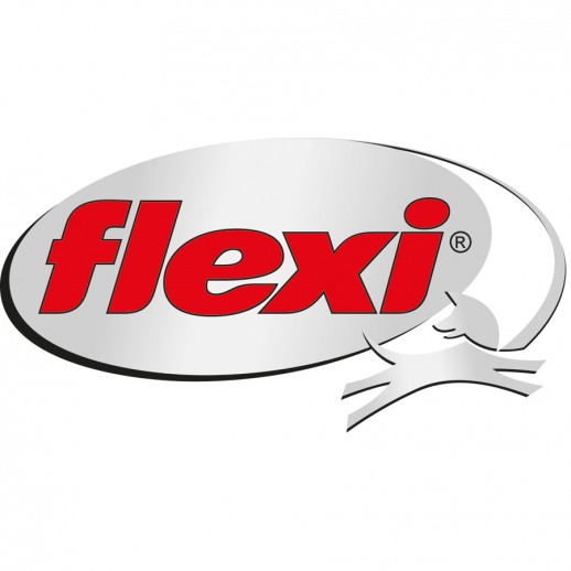 flexilogo.png