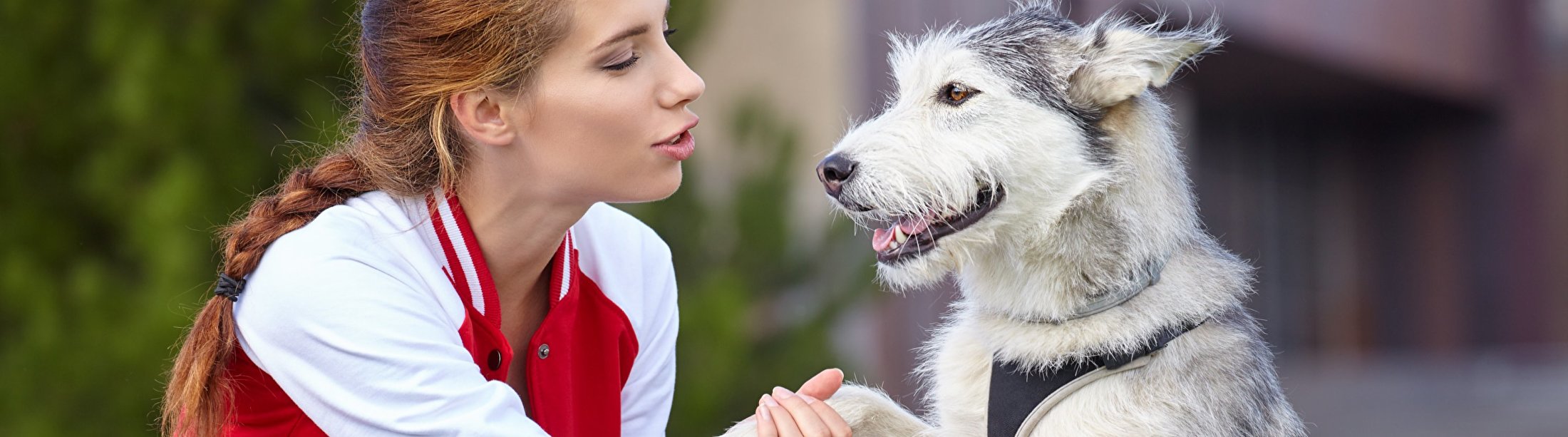 Hond en baasje